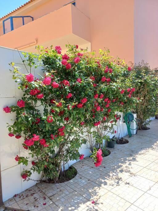 Casa Do Portao Azul - Dourada Apartment Атогия да Балея Екстериор снимка